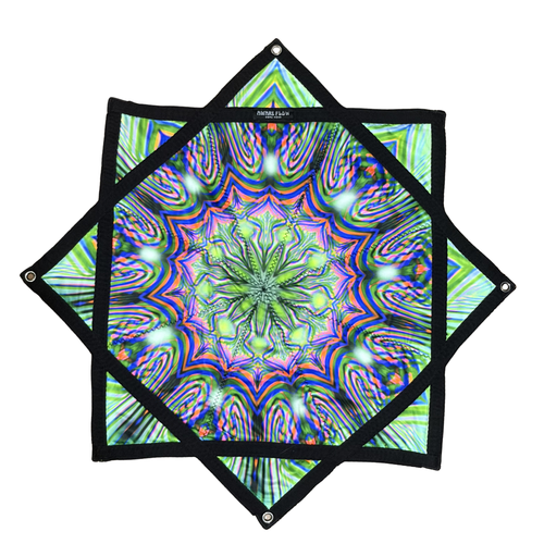 Mystic Bloom UV Reactive Dapo Flowstar